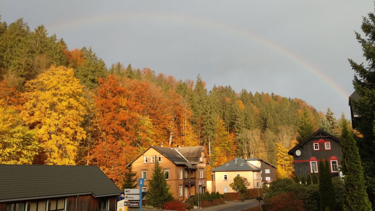 Kipsdorf im Herbst Kipsdorf im Herbst